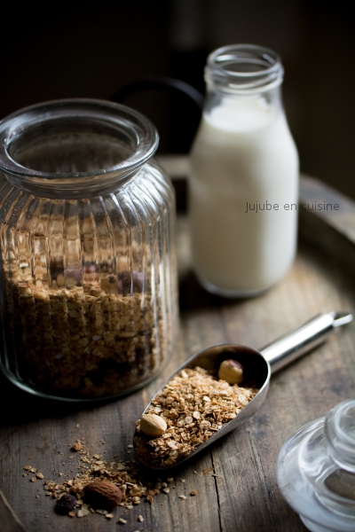 Porridge végétal aux flocons d'avoine, noix et coco - Les recettes de  Juliette