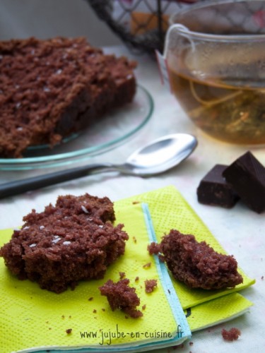 Gâteau (très) moelleux choco-coco