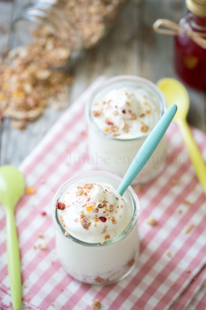 Frozen yogurt au muesli