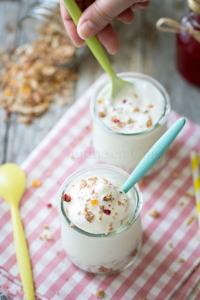 Frozen yogurt au muesli