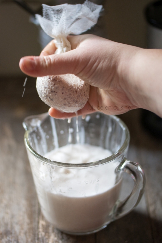 Comment Faire Son Lait Vegetal Maison Jujube En Cuisine