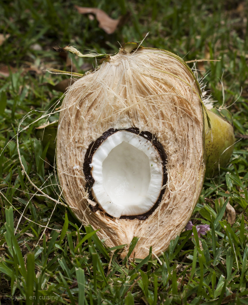 Noix de coco, toujours dans son "écorce", ouverte en deux | Jujube en cuisine