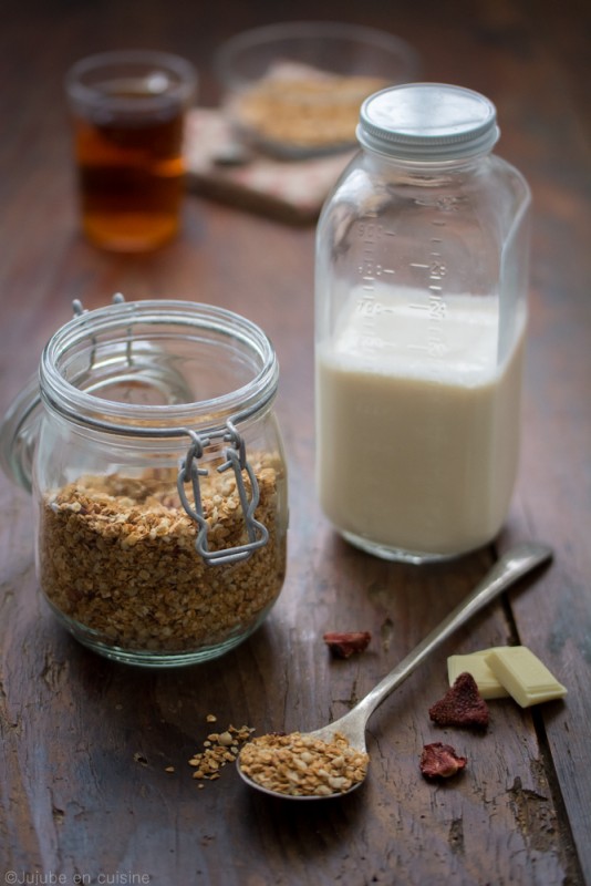 Granola/muesli fraises séchées-chocolat blanc | Jujube en cuisine