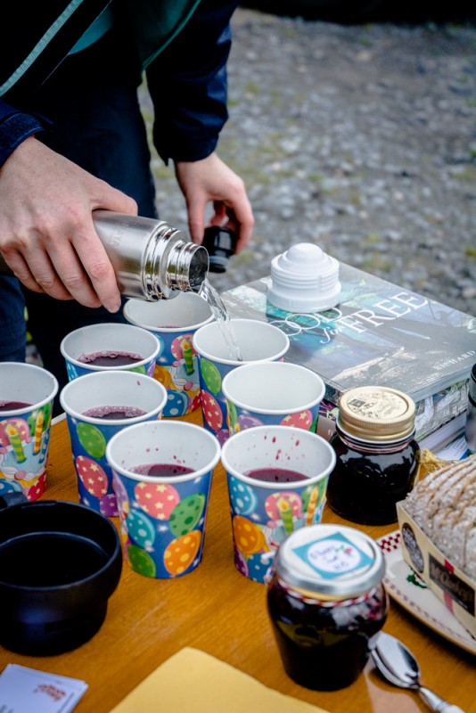 Sirop de sureau et reins des près (Elderberry and meadowsweet syrup) | Jujube en cuisine