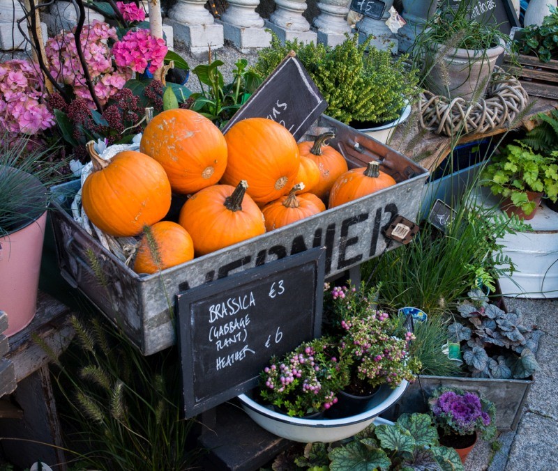 Décoration à l'extérieur de George's St Arcade | Jujube en cuisine