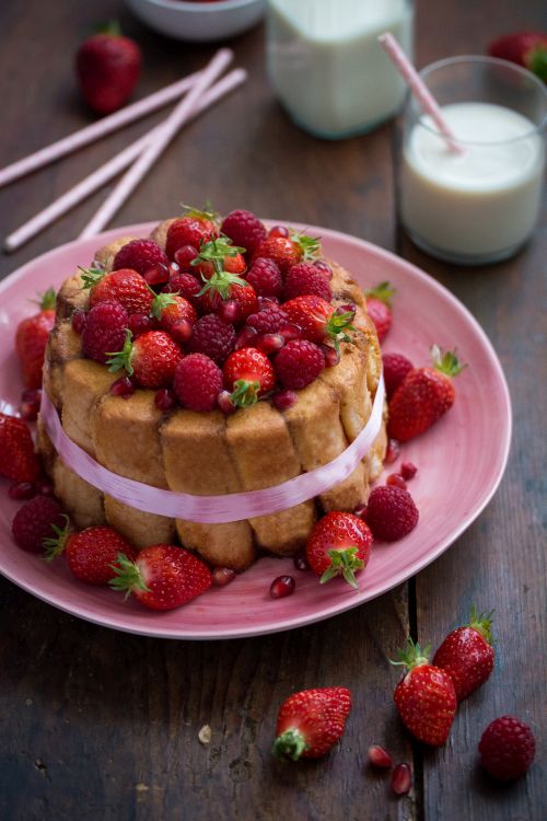 Charlotte au chocolat et fruits rouges (fraises, framboises, grenade) | Jujube en cuisine