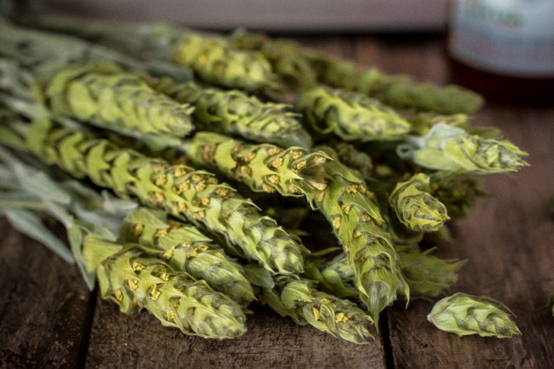 Le thé des Montagnes (grec) | Jujube en cuisine