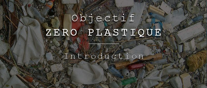 Objectif Zéro Plastique | Introduction | Jujube en cuisine